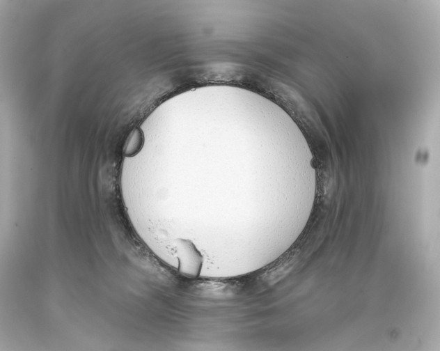 X0000093360326200711011212