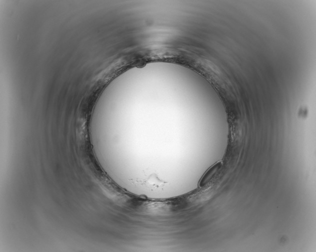 X0000093360327200711011212