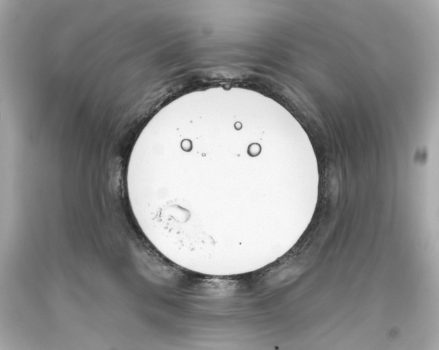 X0000093360328200711011212