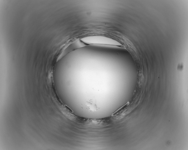 X0000093360329200711011212