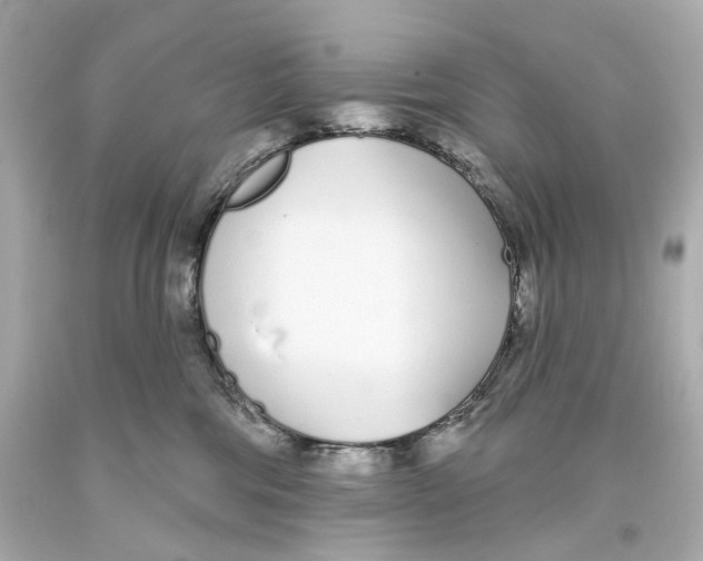 X0000093360330200711011212