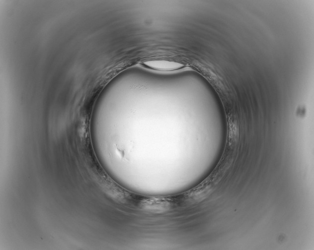 X0000093360331200711011212