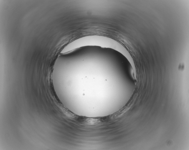 X0000093360333200711011212