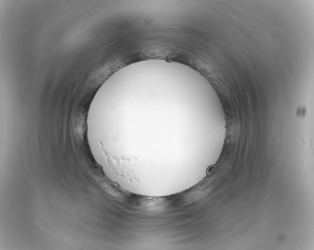 X0000093360334200711011212