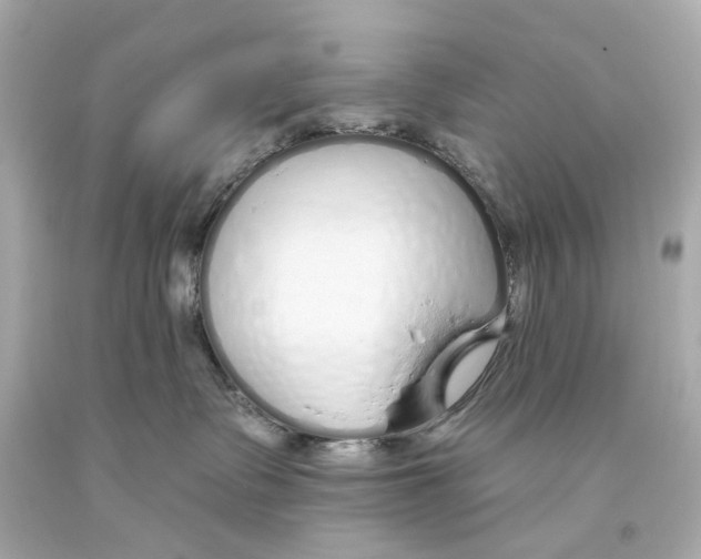 X0000093360335200711011212