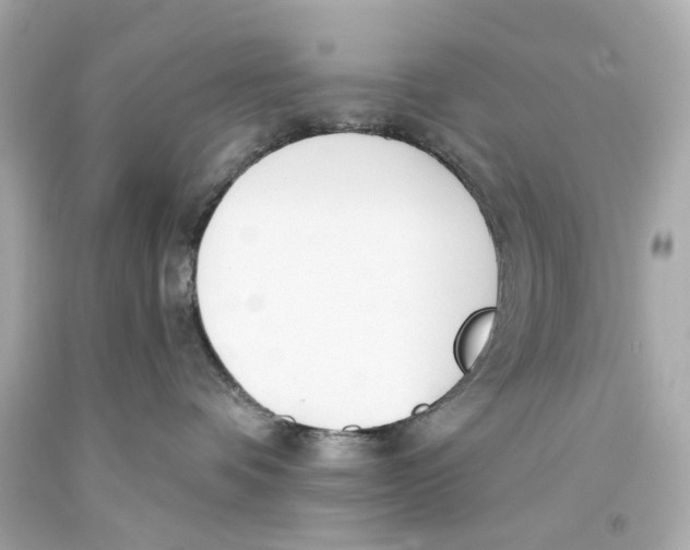 X0000093360336200711011212