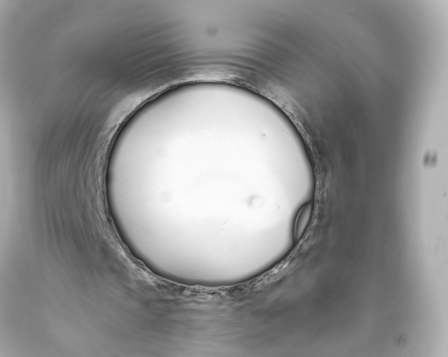 X0000093360337200711011212