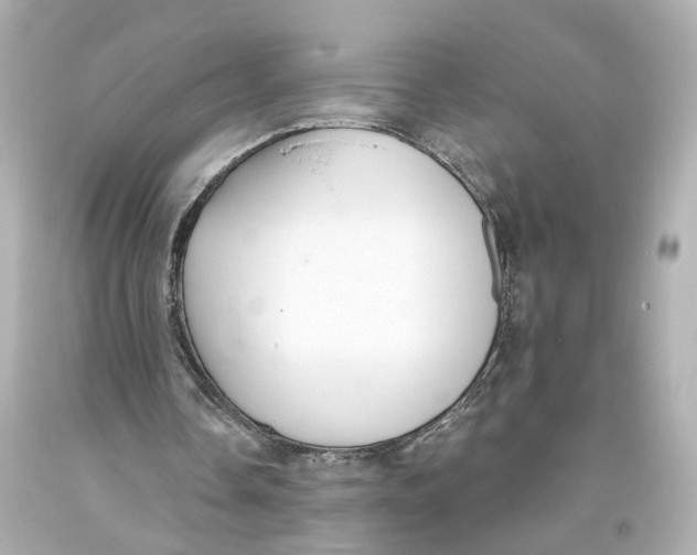 X0000093360338200711011212