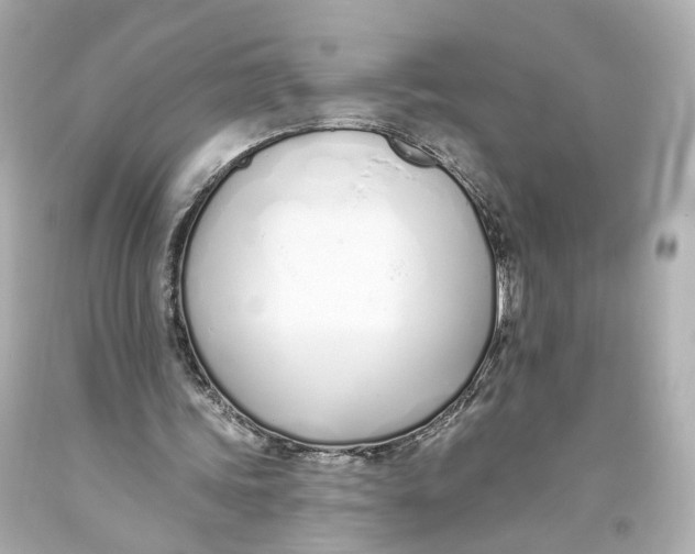 X0000093360339200711011212