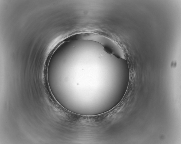 X0000093360340200711011212