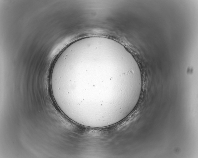 X0000093360341200711011212