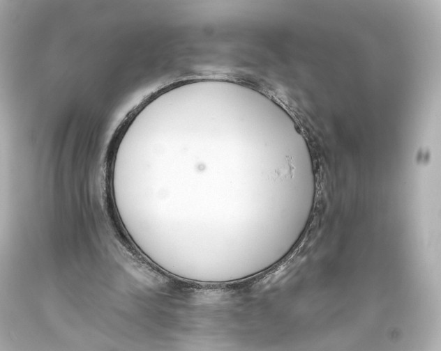 X0000093360342200711011212