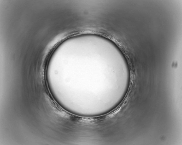 X0000093360343200711011212