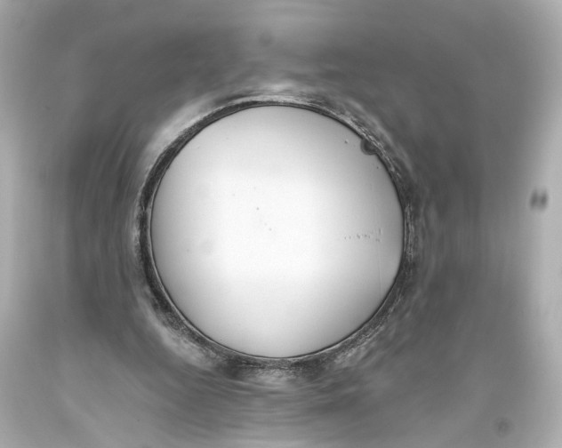 X0000093360344200711011212