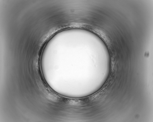 X0000093360346200711011212