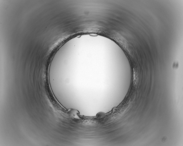 X0000093360348200711011212