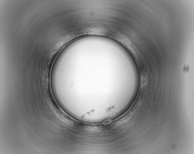 X0000093360349200711011212