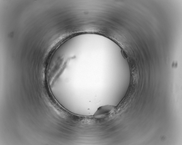 X0000093360350200711011212