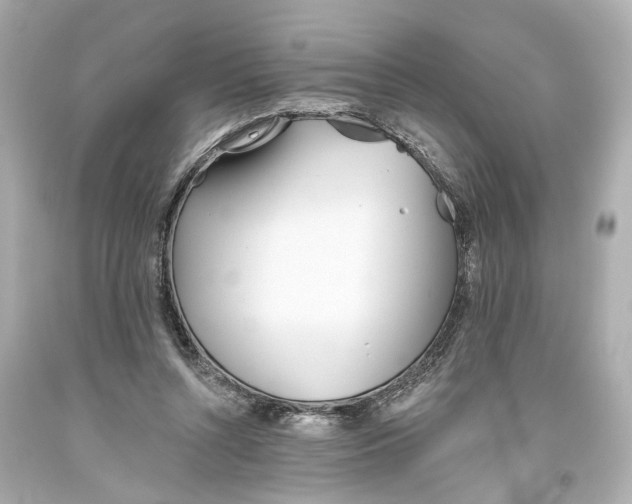 X0000093360352200711011212