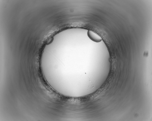 X0000093360354200711011212