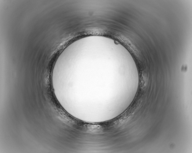 X0000093360355200711011212