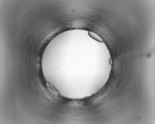 X0000093360356200711011212