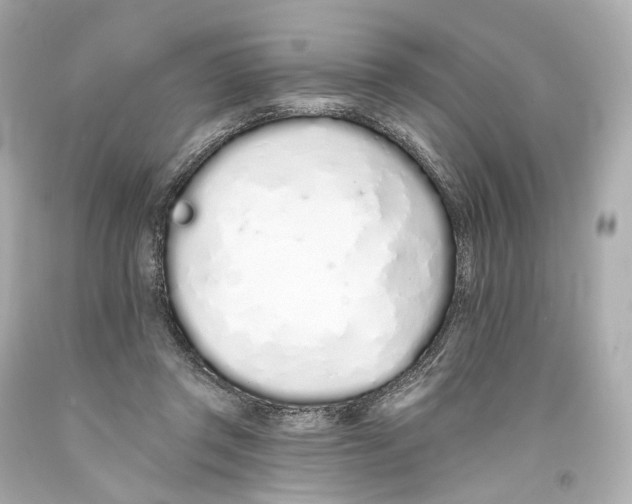 X0000093360357200711011212