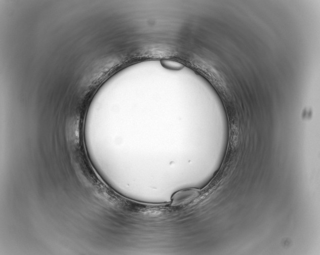 X0000093360358200711011212