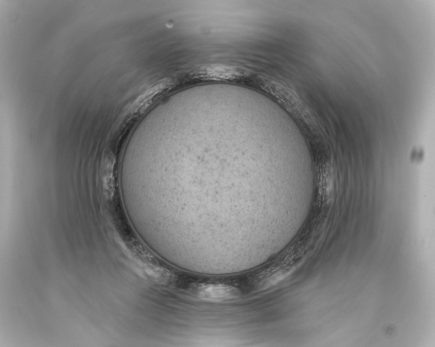 X0000093360360200711011212