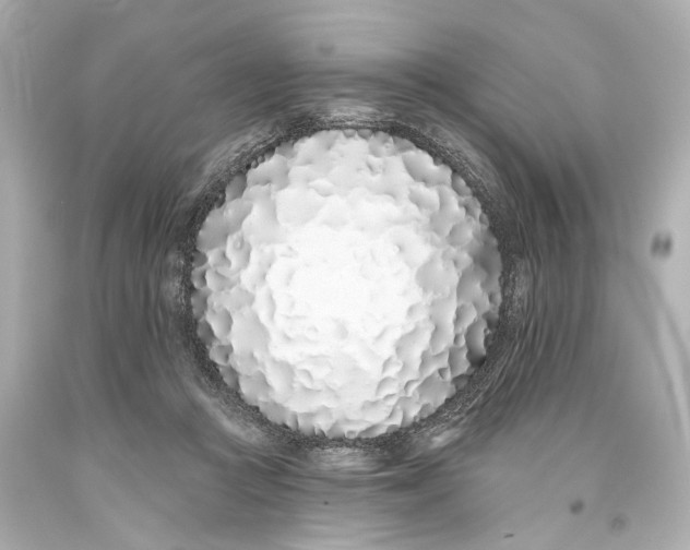 X0000093360361200711011212