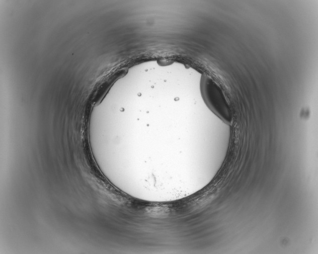 X0000093360362200711011212