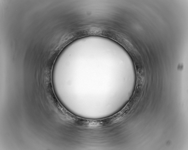 X0000093360363200711011212