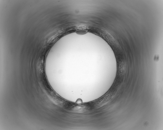 X0000093360364200711011212