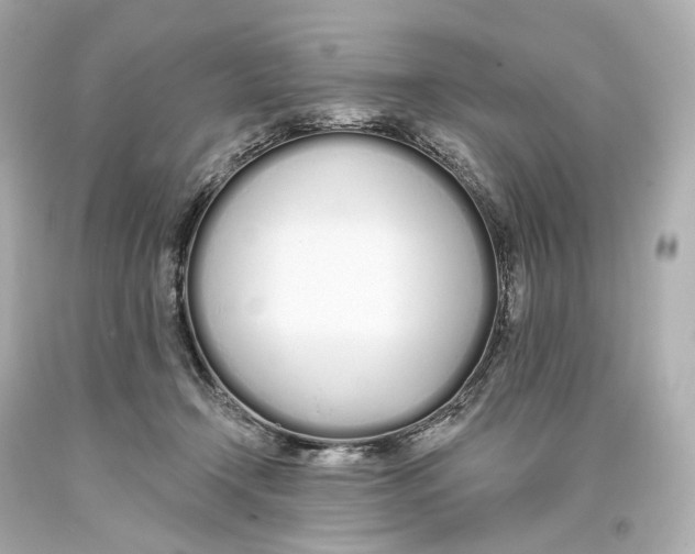 X0000093360366200711011212