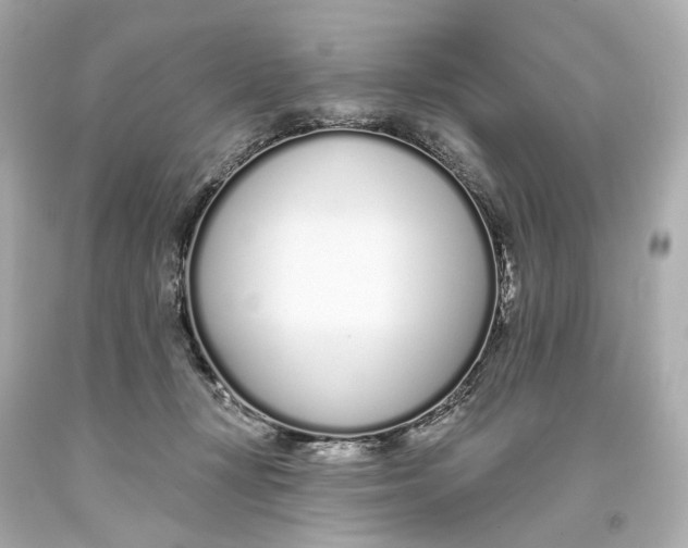 X0000093360367200711011212