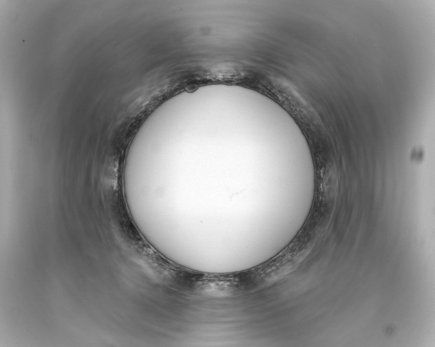 X0000093360368200711011212