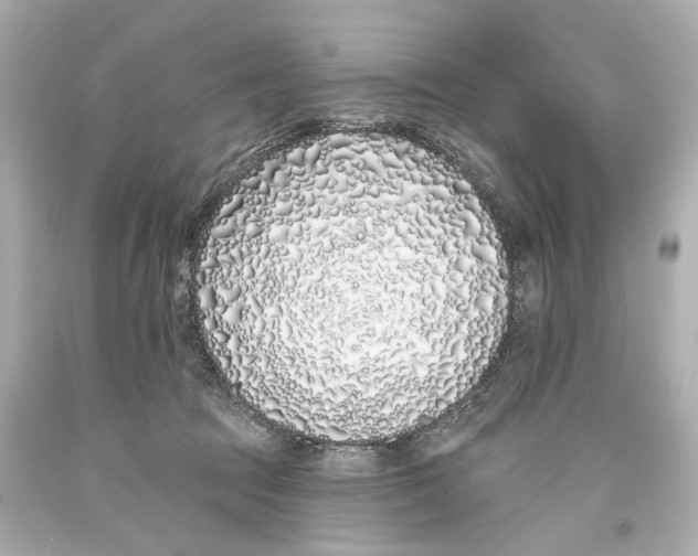 X0000093360369200711011212