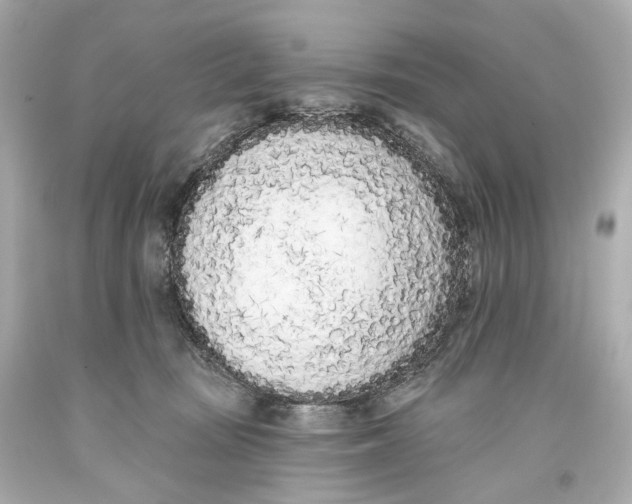 X0000093360371200711011212