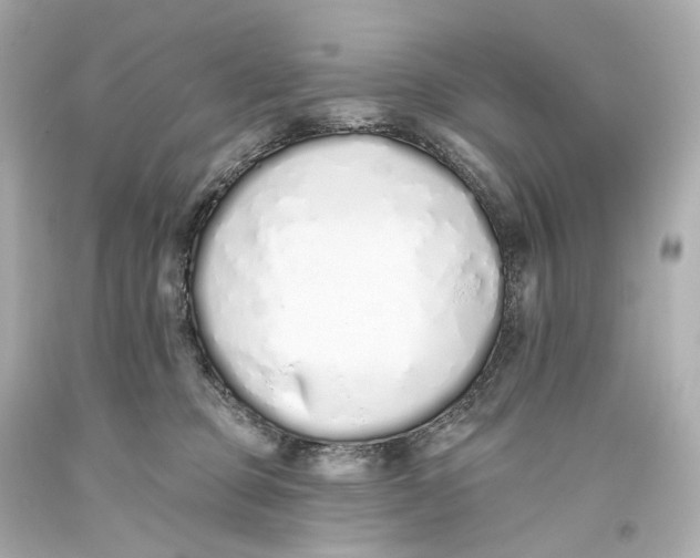 X0000093360373200711011212