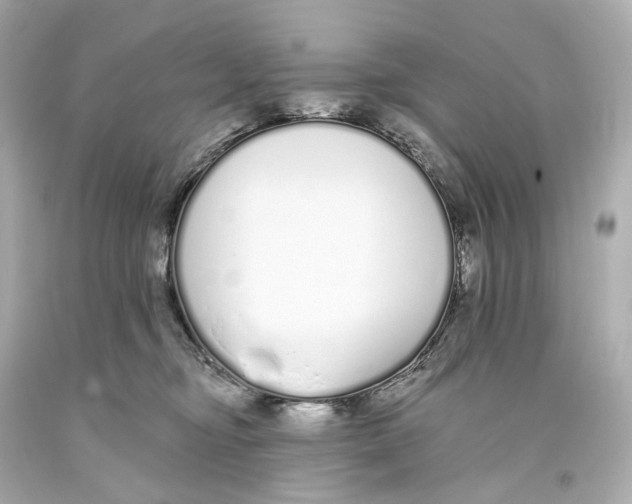 X0000093360374200711011212