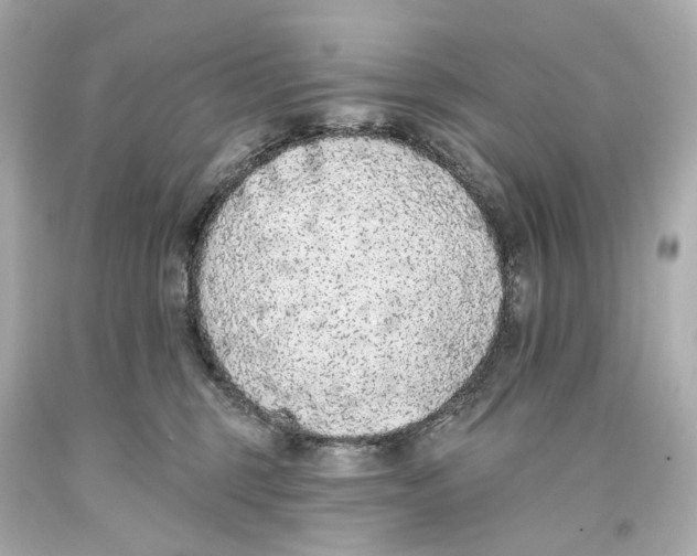 X0000093360375200711011212