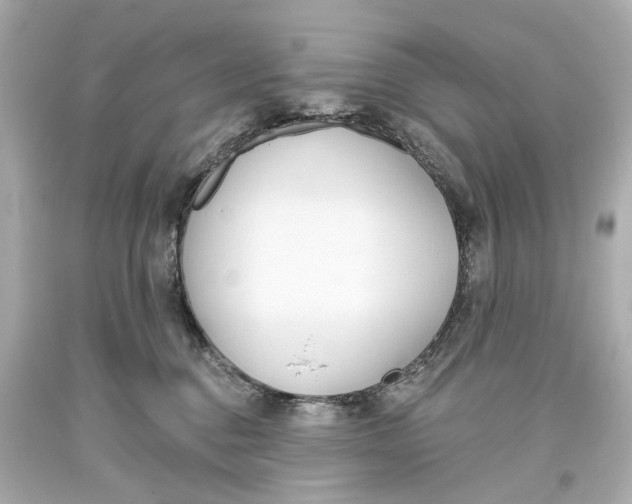 X0000093360376200711011212