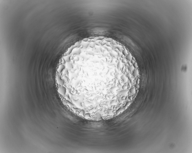 X0000093360377200711011212