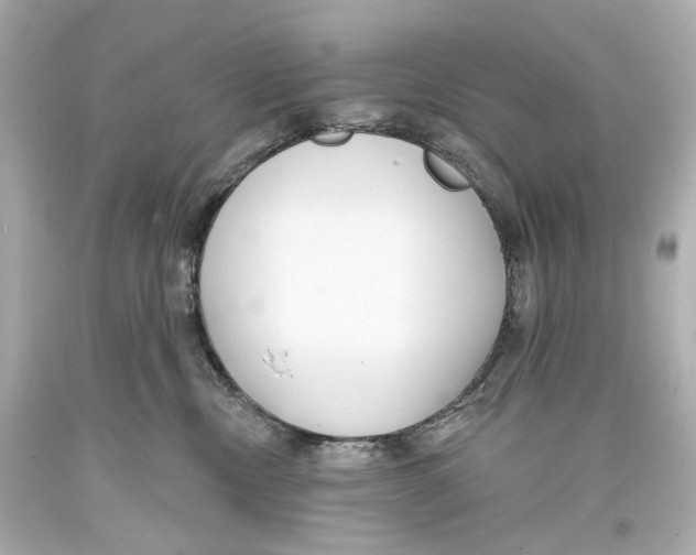 X0000093360378200711011212