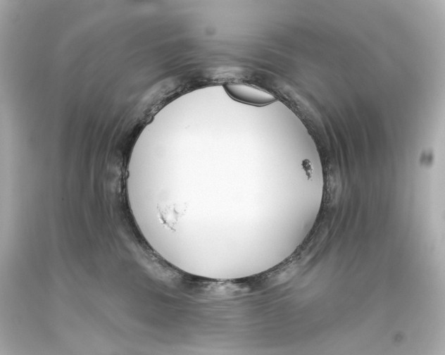 X0000093360379200711011212