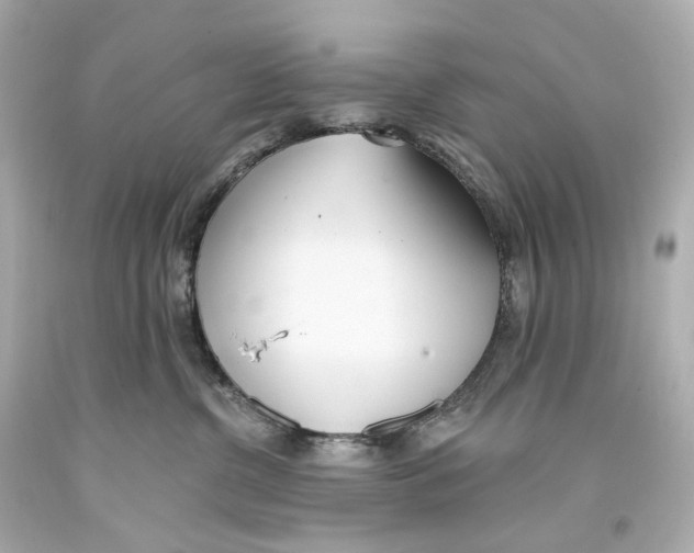 X0000093360380200711011212