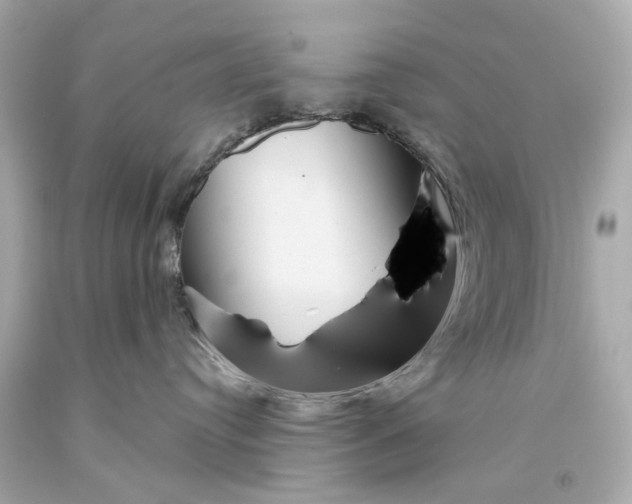 X0000093360384200711011212