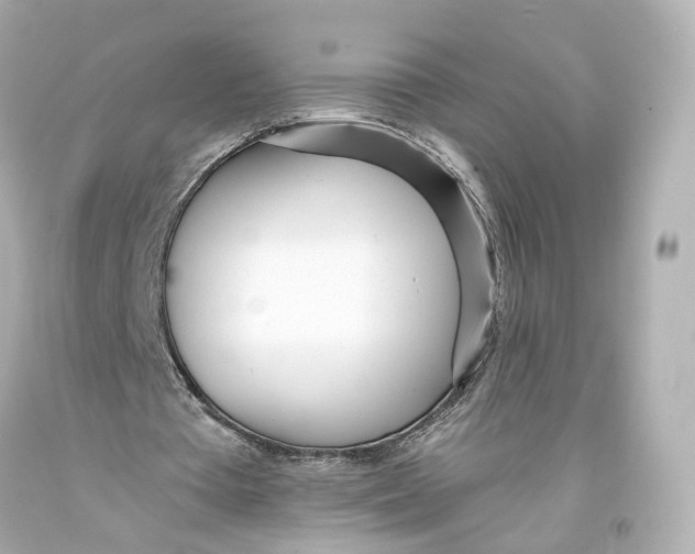 X0000093360385200711011212