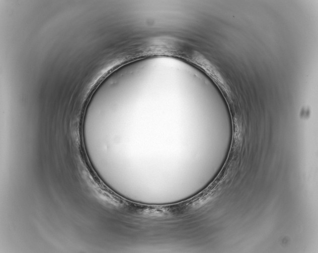 X0000093360386200711011212