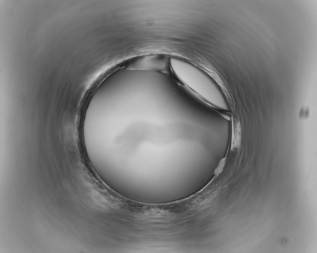 X0000093360387200711011212